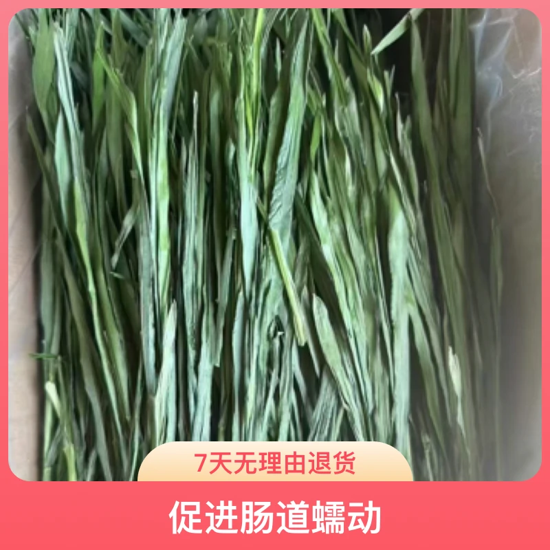 【烘干小麦草】2025年头茬烘干小麦草兔子龙猫荷兰猪主食干草饲料