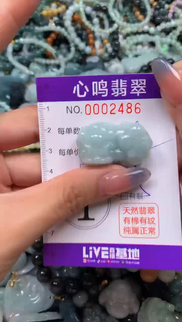 颈饰未镶嵌翡翠闪购002486