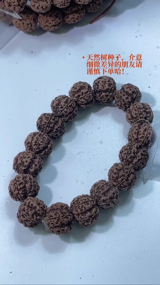 金刚菩提手串8 铁籽双龙19mm