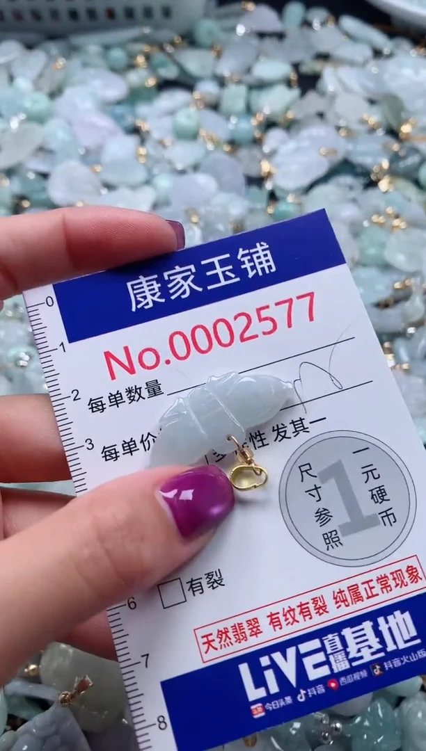 颈饰未镶嵌翡翠2577