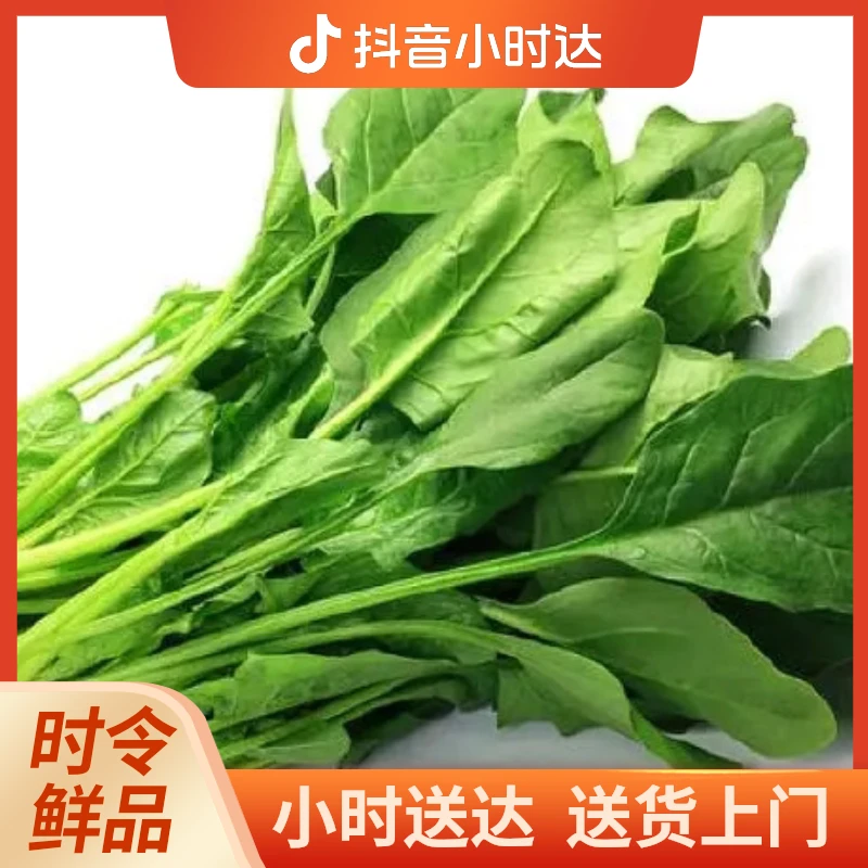 菠菜1斤左右【好东西】