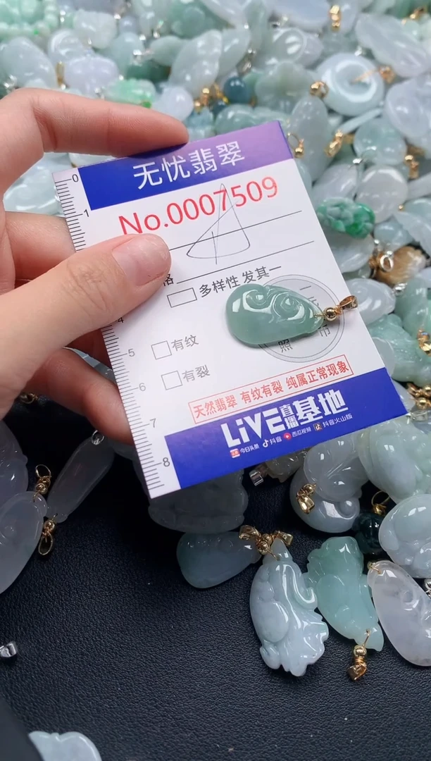 颈饰未镶嵌翡翠7509