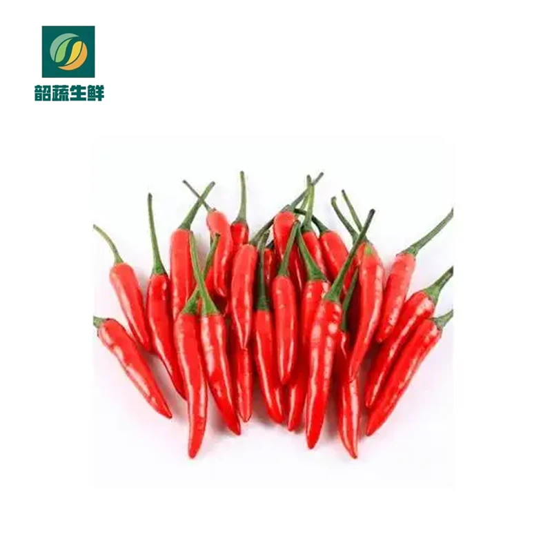 （新鲜）小米椒 100g