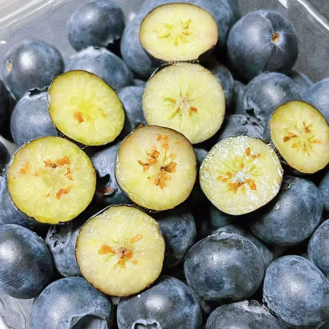 小懒杯杯装云南纯甜蓝莓新鲜蓝莓果粉满满纯甜孕妇水果