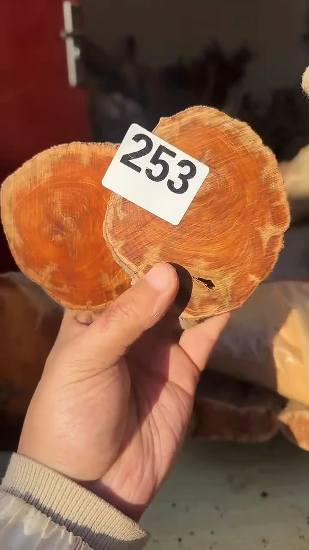 柏木（崖柏）太行陈化崖柏切片！随机一片！（1单2片）253