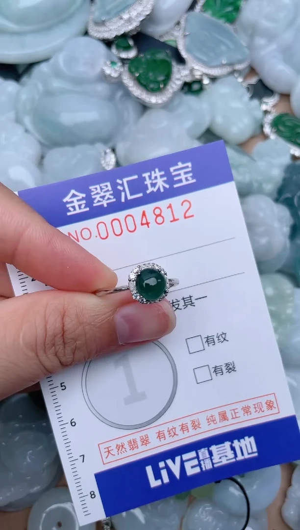 翡翠未镶嵌颈饰4812