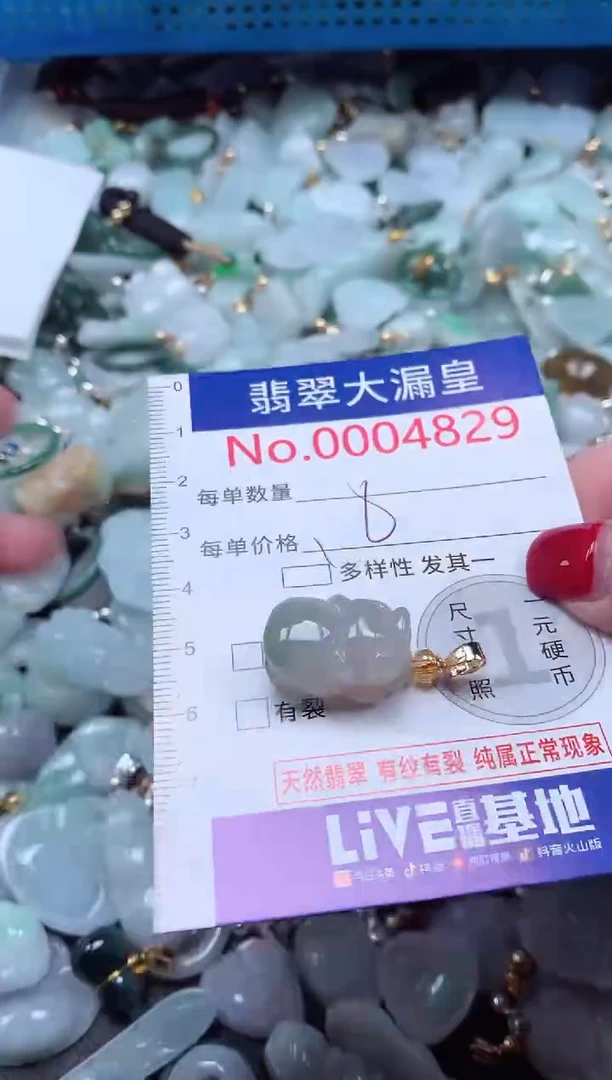 颈饰未镶嵌翡翠4829