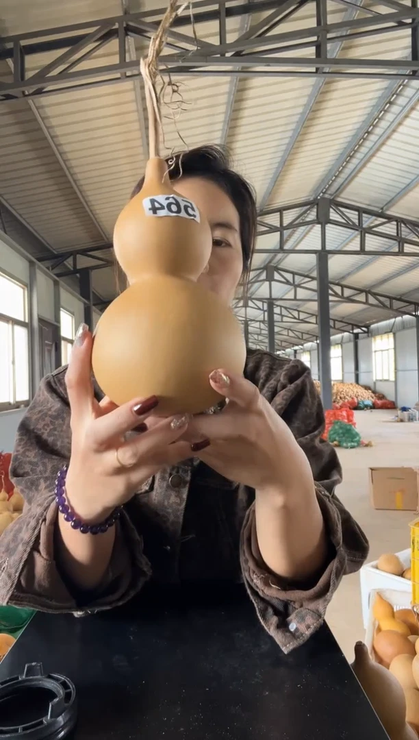 564天然葫芦摆件 一物一拍龙头不保售后有瑕疵