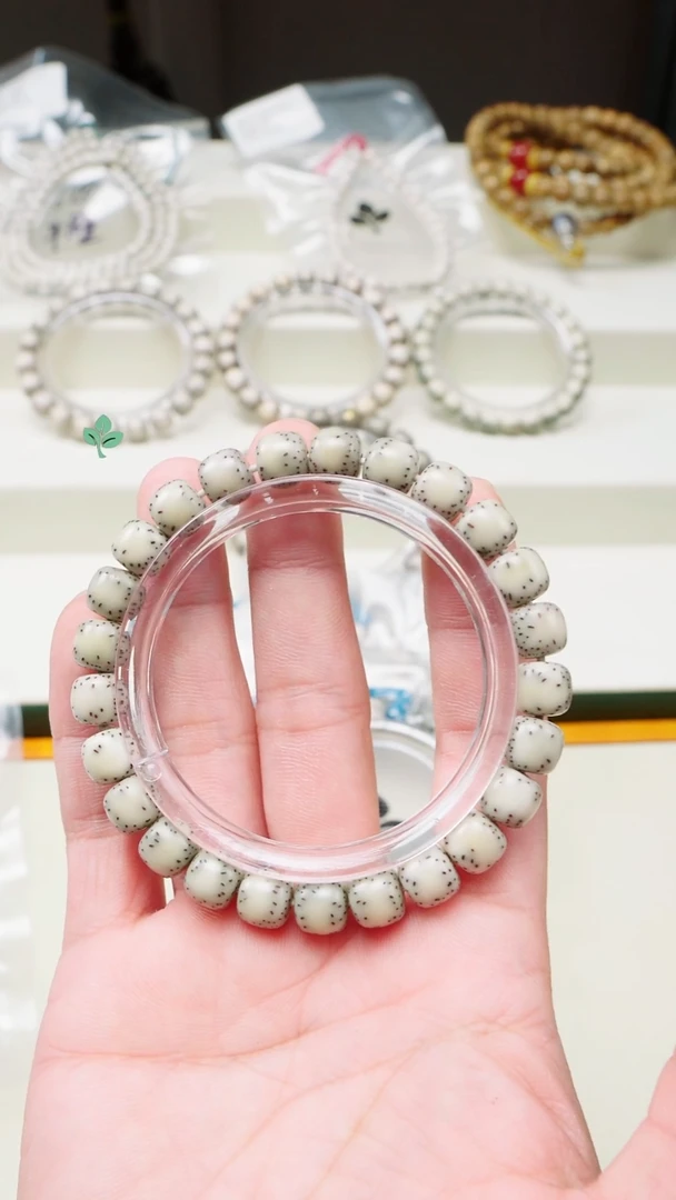 手串星月菩提海南星月菩提一物一图