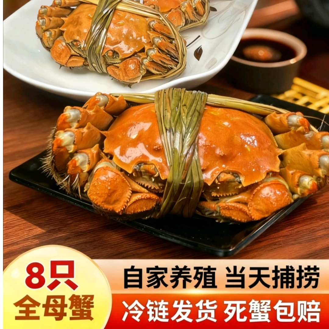 金标【全母蟹2.8-3.1两】8只 江苏精品大闸蟹 顺丰冷链包邮Q