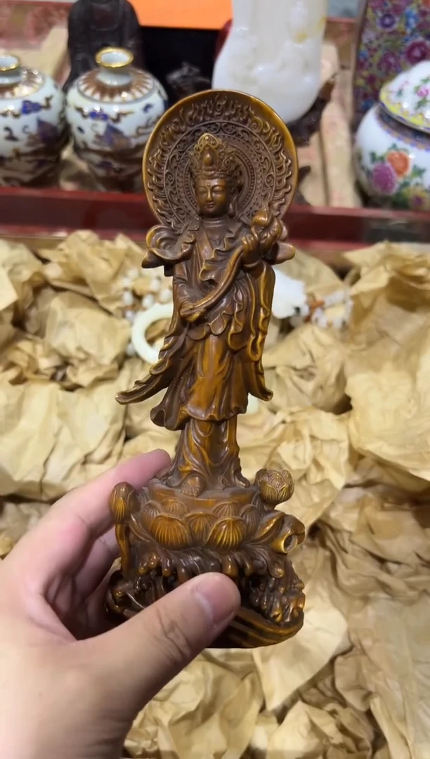 黄杨木11111111111111111