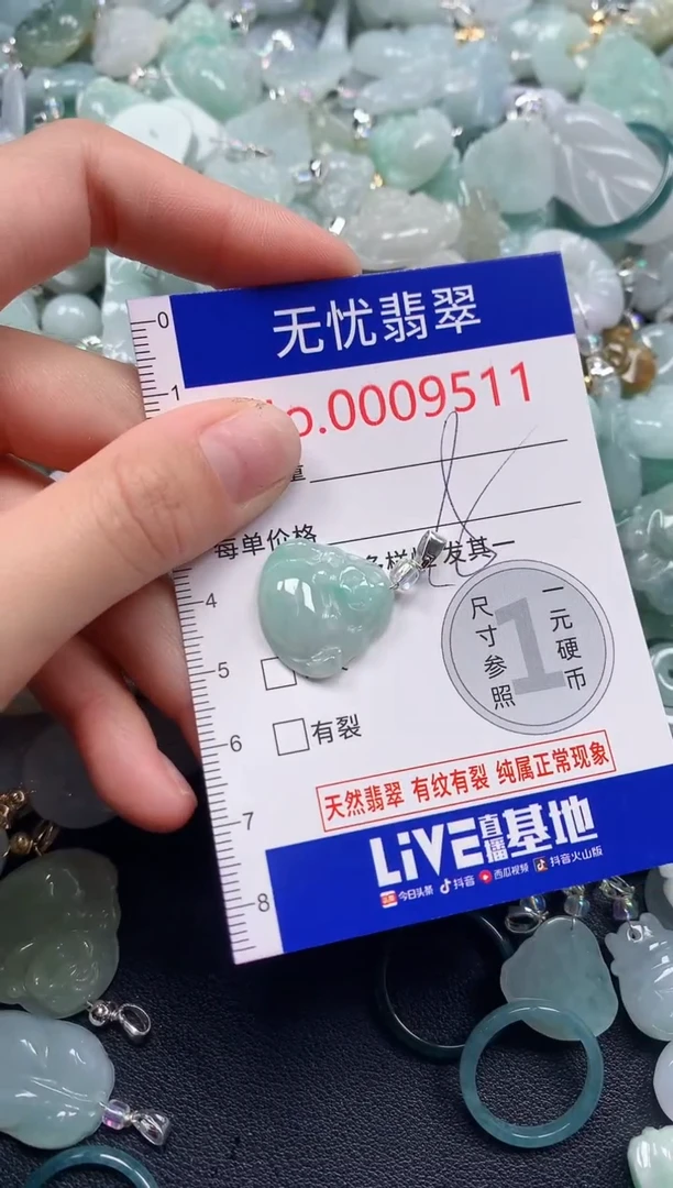颈饰未镶嵌翡翠9511