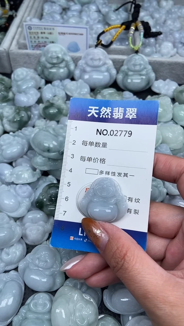 颈饰未镶嵌翡翠纯天然A货翡翠2779