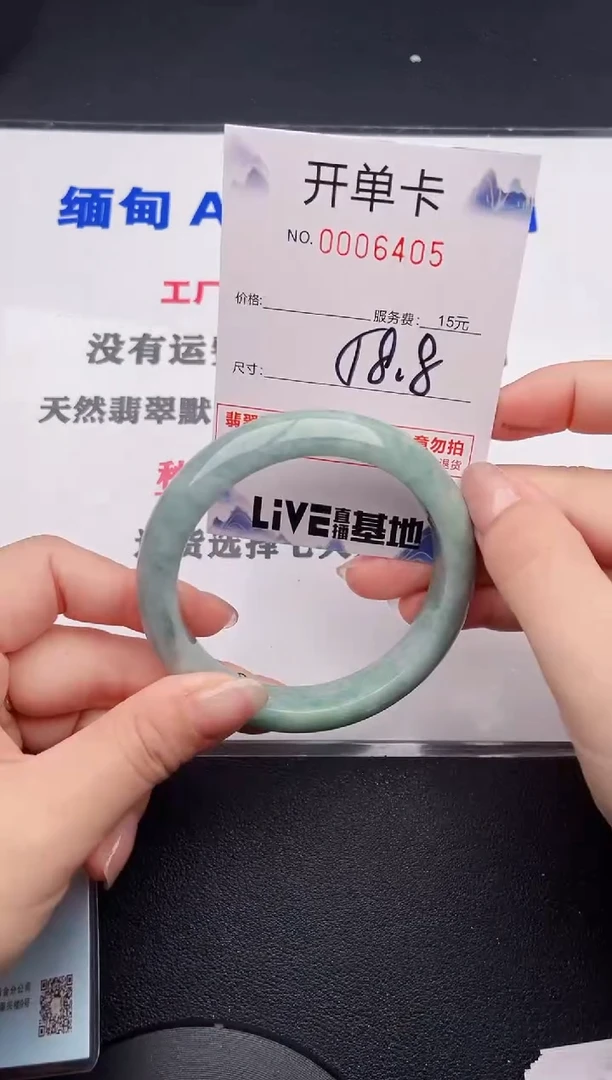 未镶嵌手镯翡翠05