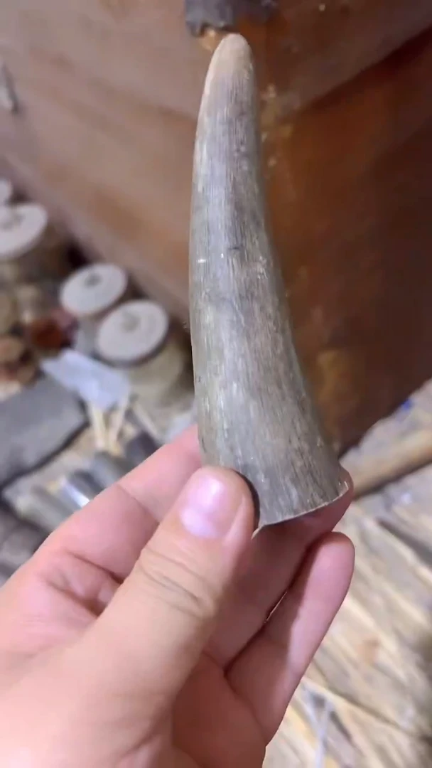 紫砂紫砂紫砂紫砂