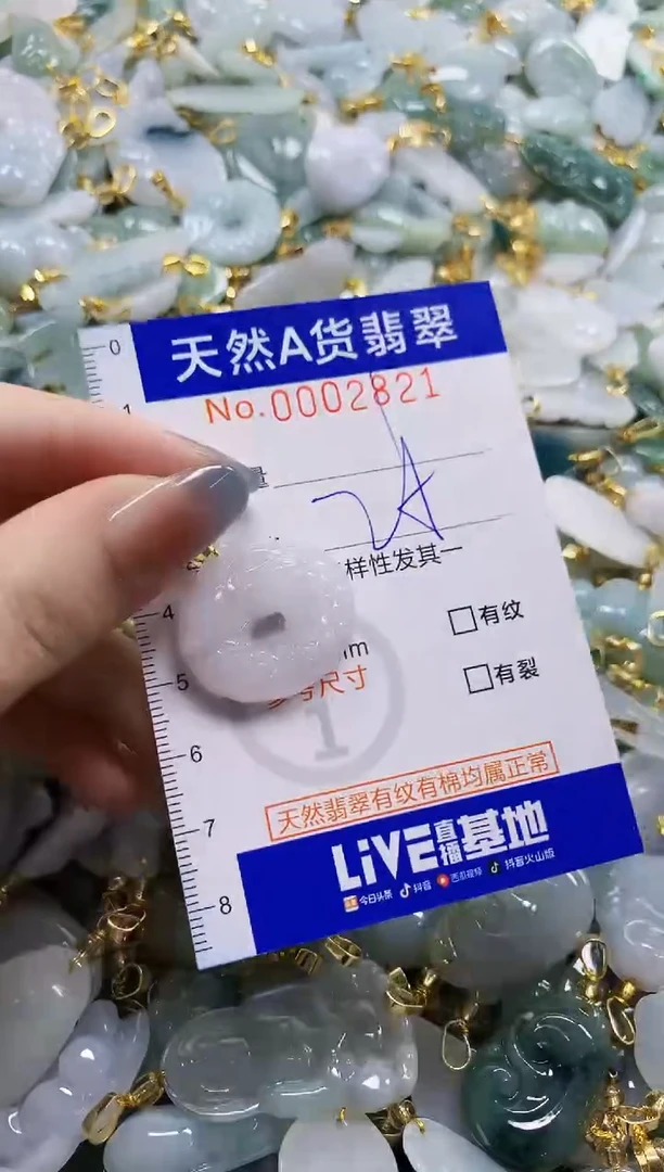 颈饰未镶嵌翡翠纯天然a货翡翠