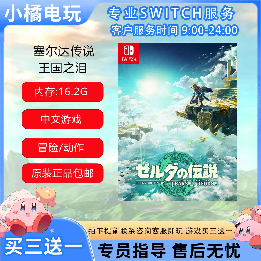 NS 正版 S王国之泪 支持中文