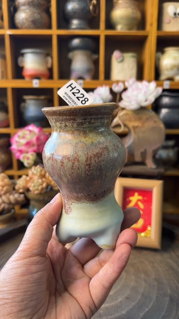 228 内口5【多肉花盆多肉盆】