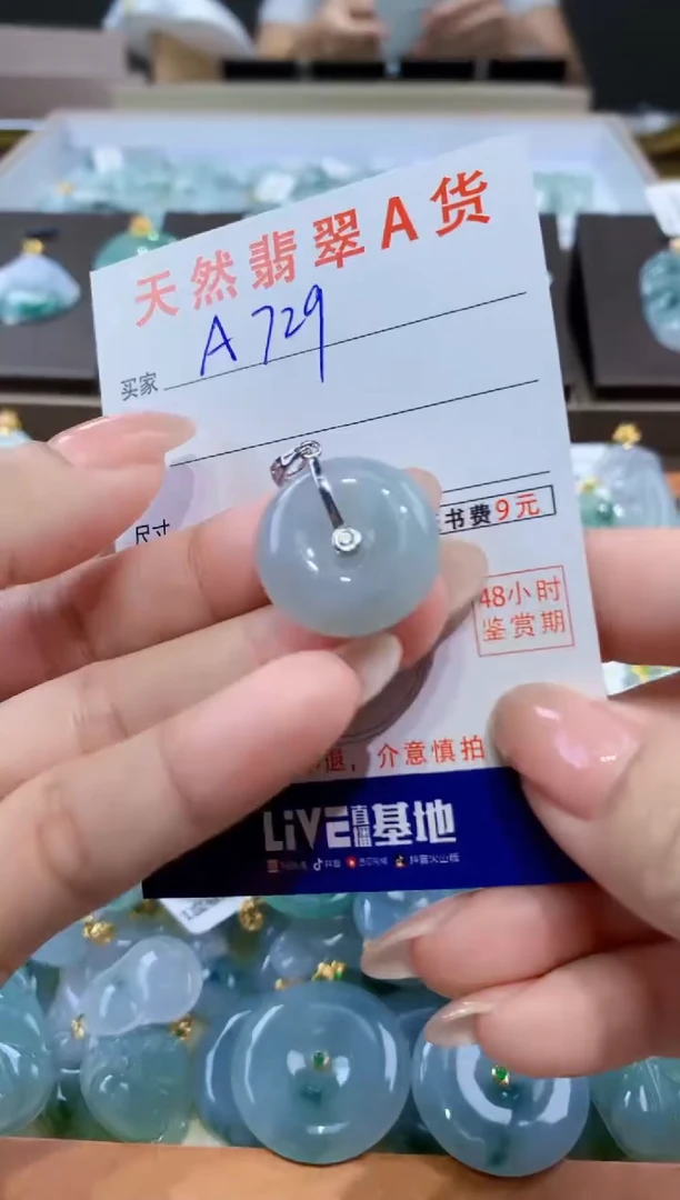 颈饰未镶嵌翡翠天然缅甸翡翠A货挂件