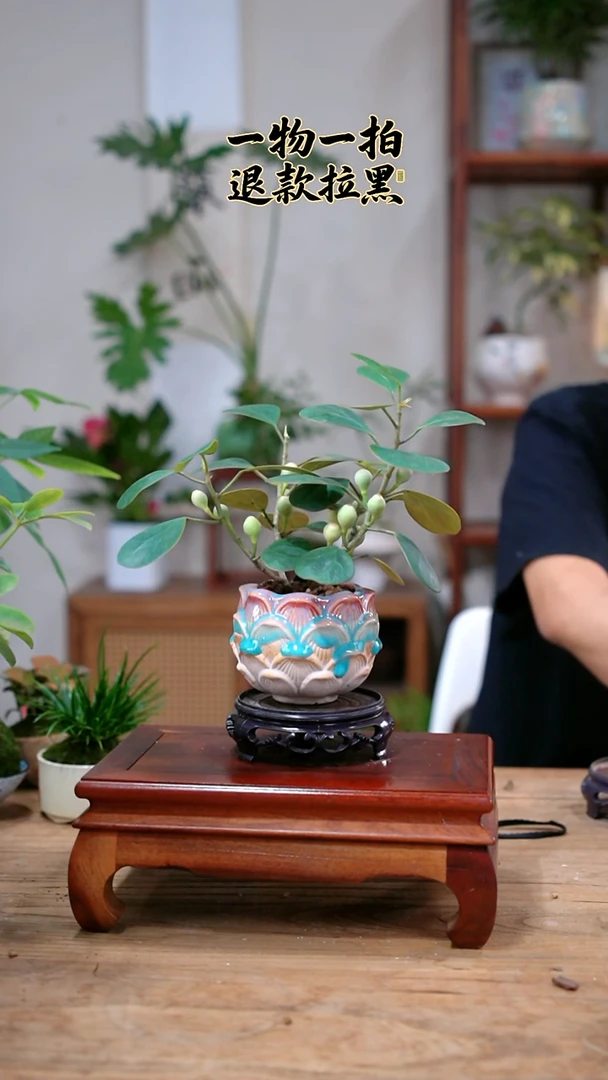 完全开放t****5菩提141
