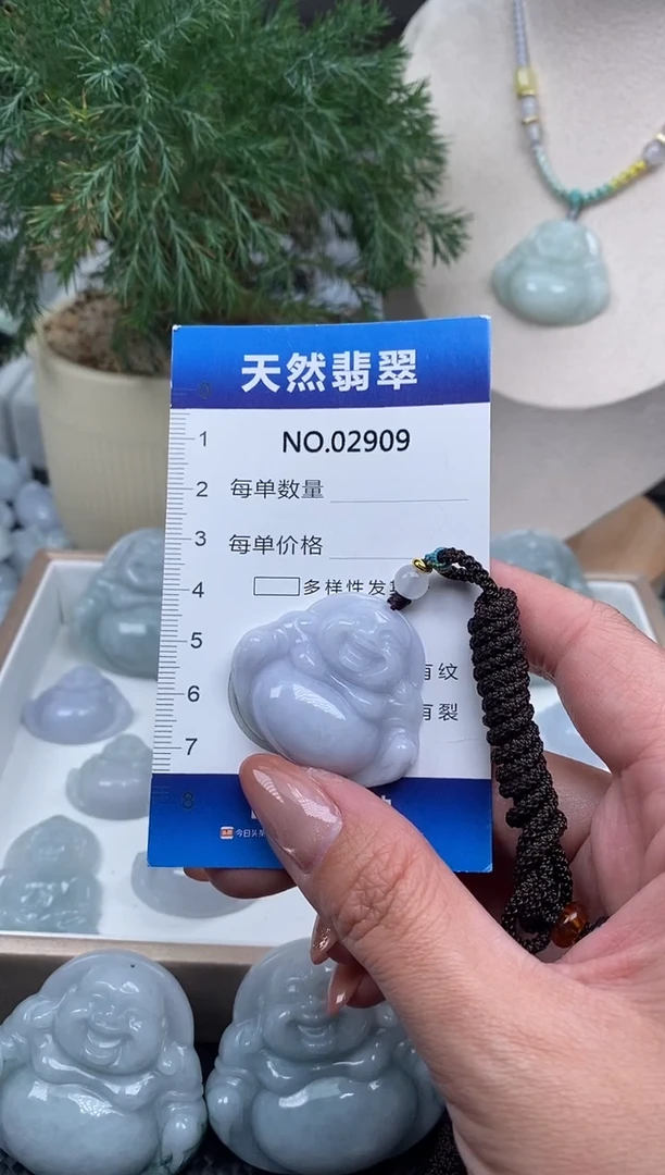 颈饰未镶嵌翡翠纯天然A货缅翡2909