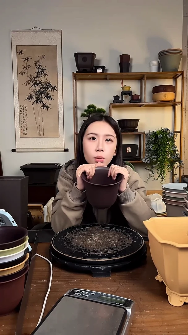 10只15口径金钟紫檀色