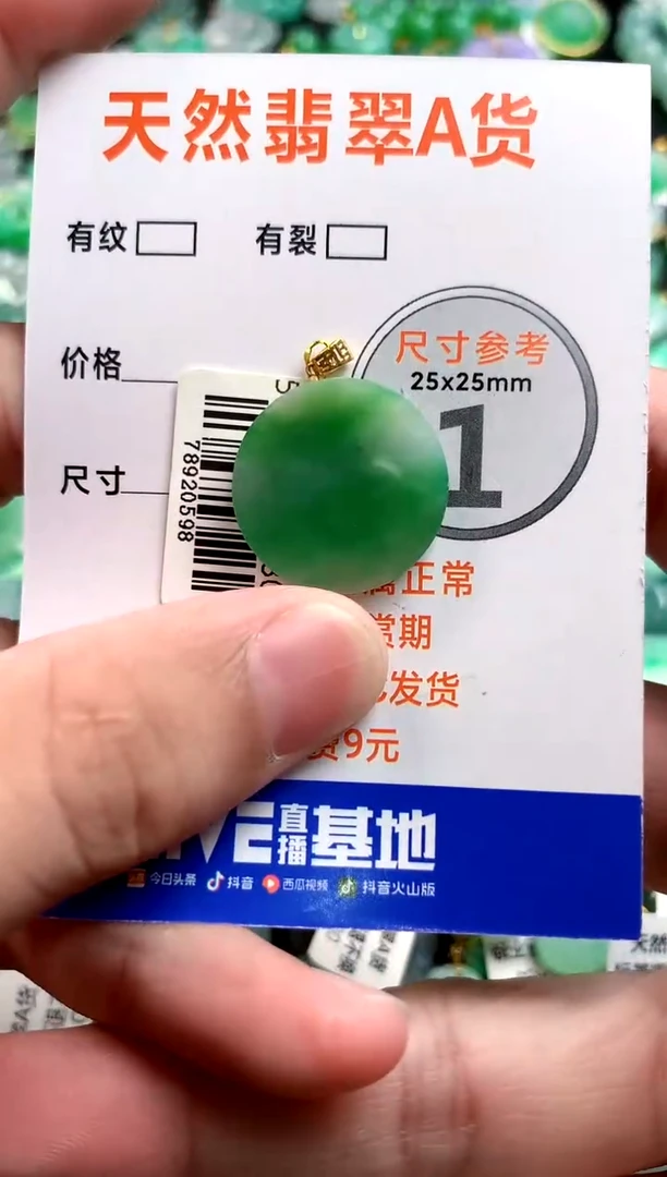 颈饰未镶嵌翡翠0214733007
