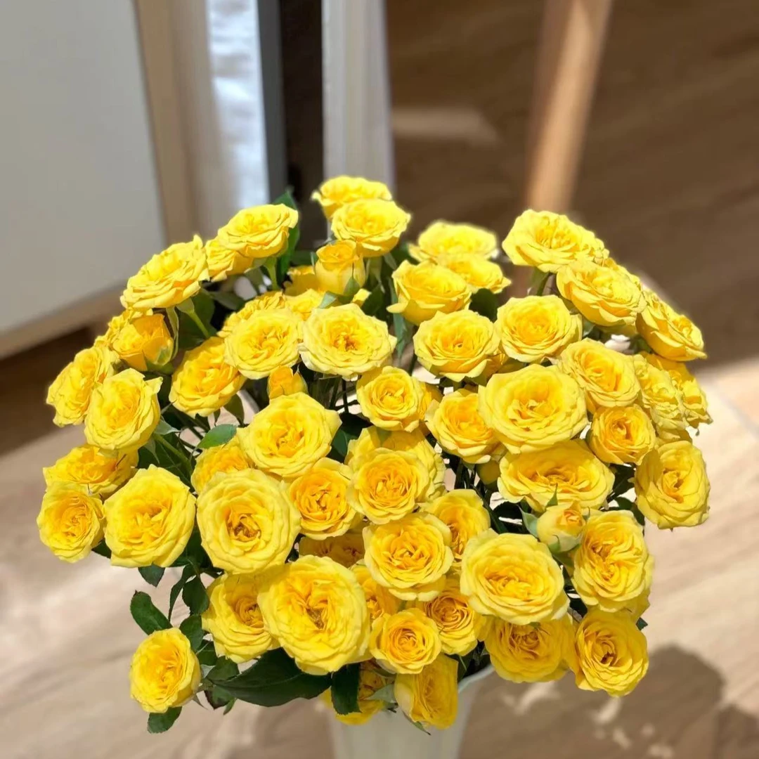 【彩花驿站】梦幻芭比多头（直播间展示为准/任意两单升级冷链快递）