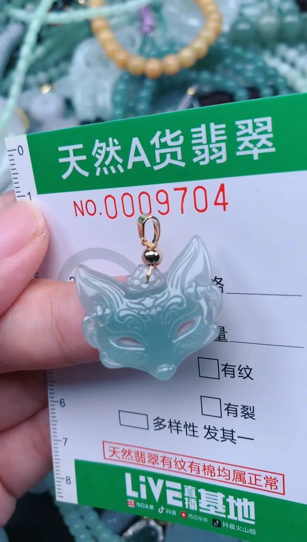 翡翠未镶嵌颈饰.0009704