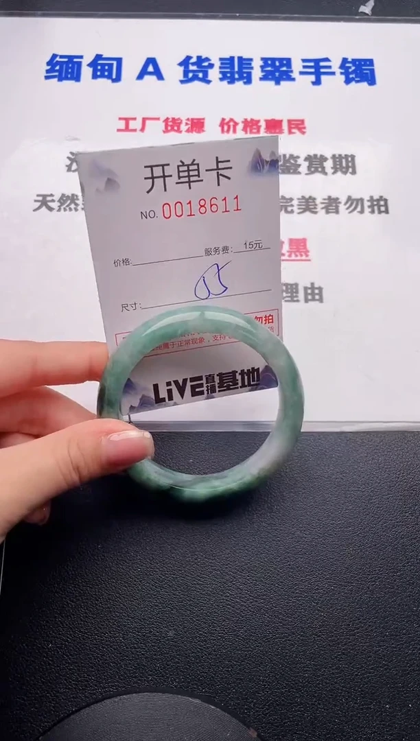 未镶嵌手镯翡翠11