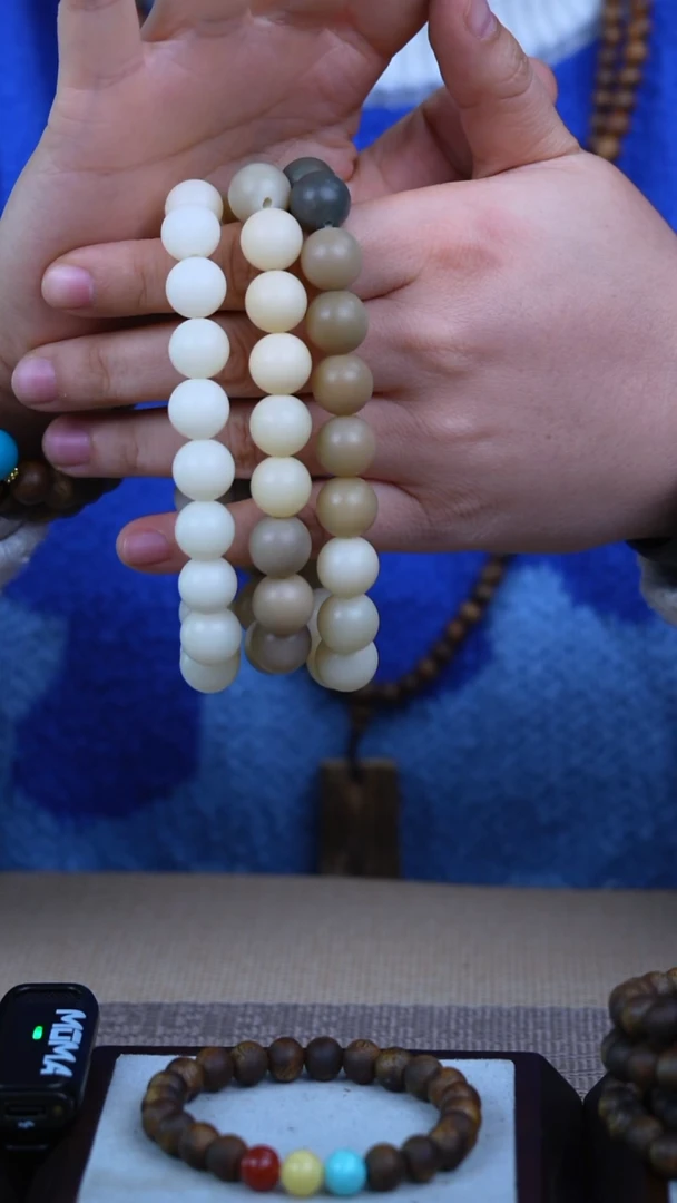 手串菩提根/象牙果媚**疆菩提根3条