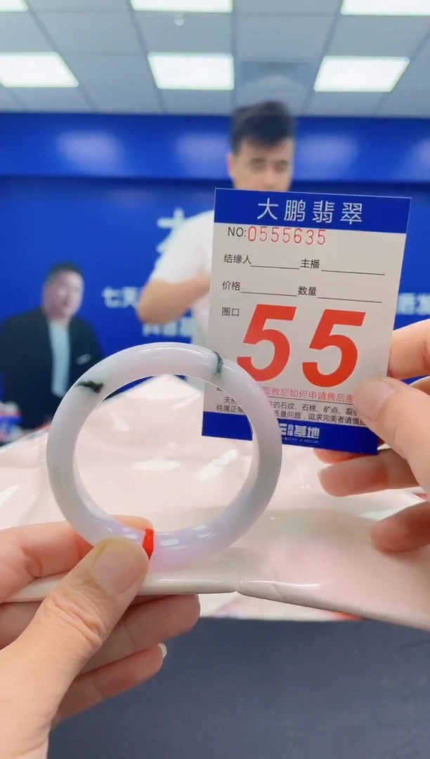 未镶嵌手镯翡翠AAAAAAAAA