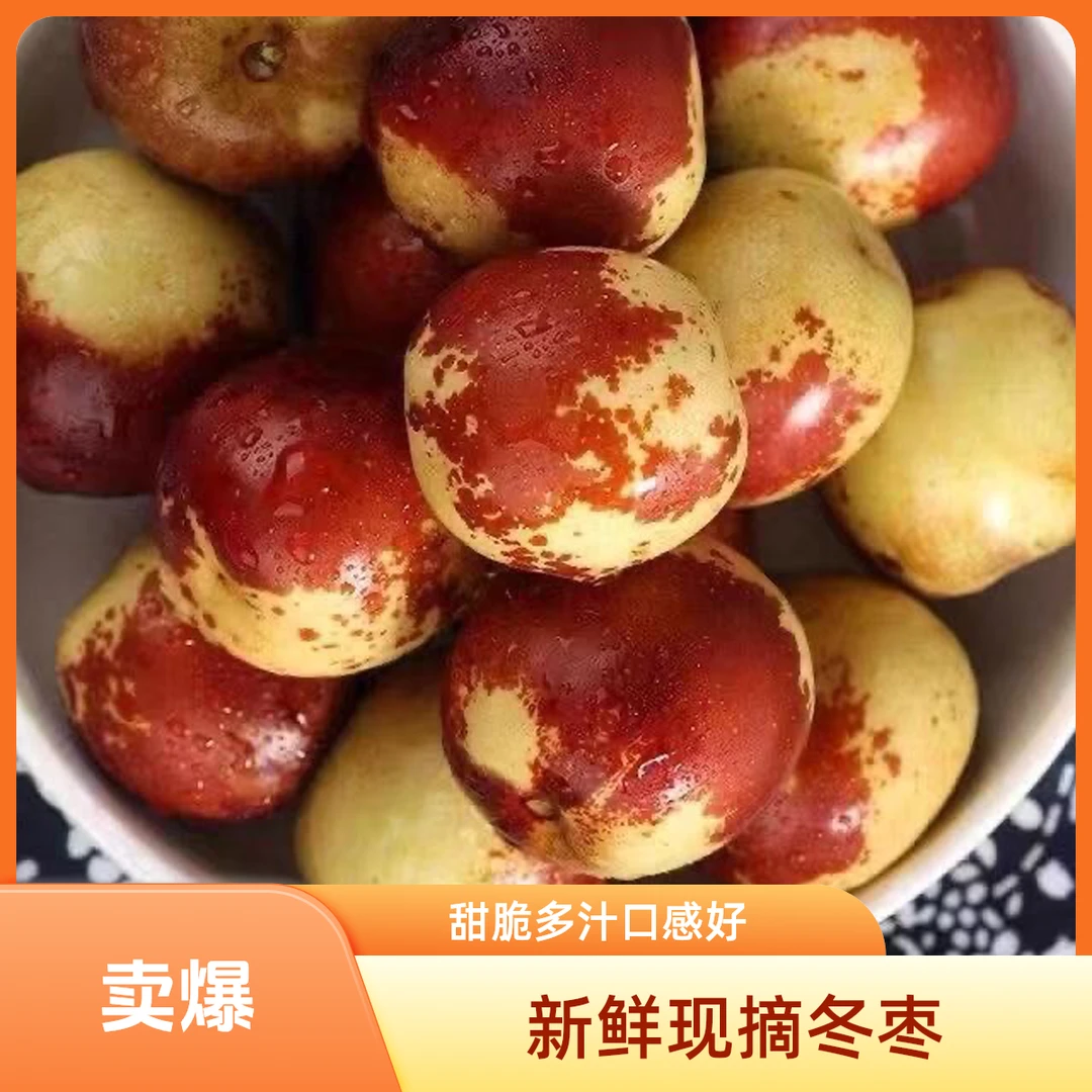 【黄骅冬枣】孔店村发货酥脆甜现摘现发0农残孕妇可吃顺丰包邮10.22河北省