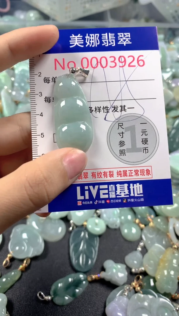 颈饰未镶嵌翡翠3926