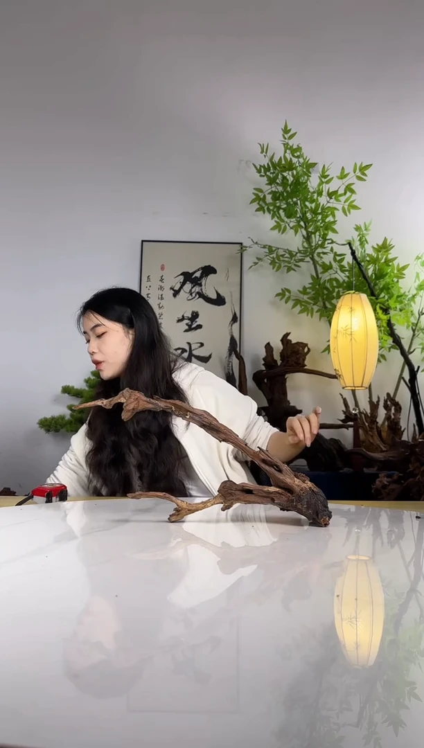 好***见拍这个定向编号11