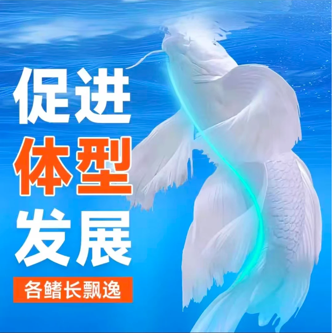 蝴蝶鲤专用高蛋白观赏鱼饲料增色发鳍发尾不浑水