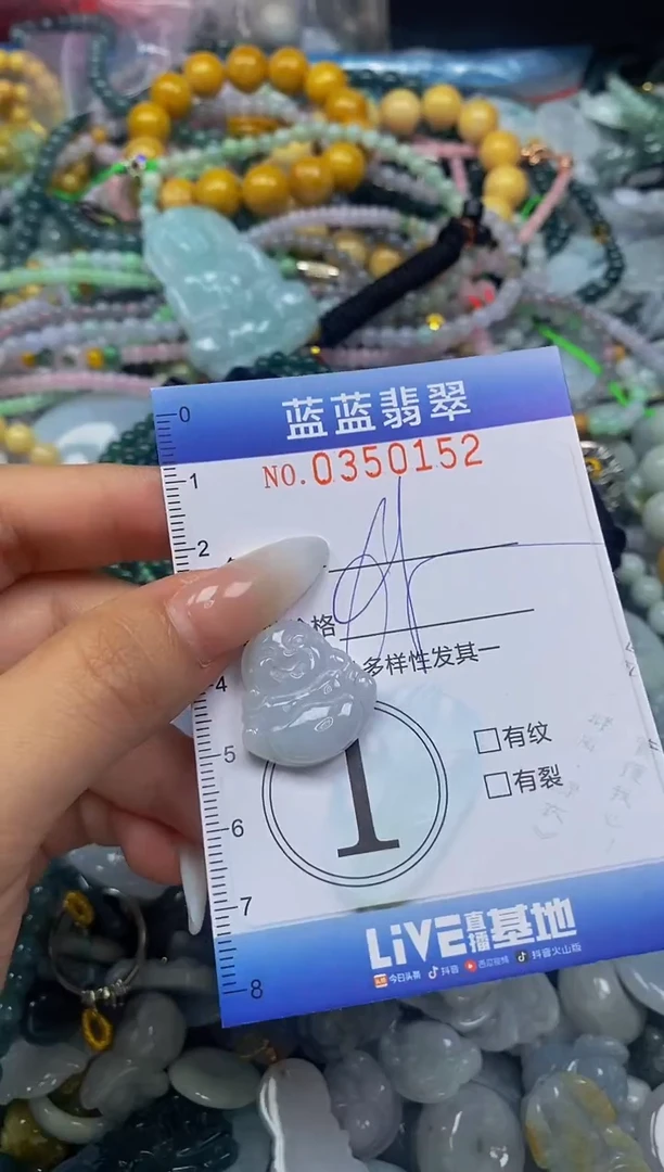 颈饰未镶嵌翡翠闪购0350152