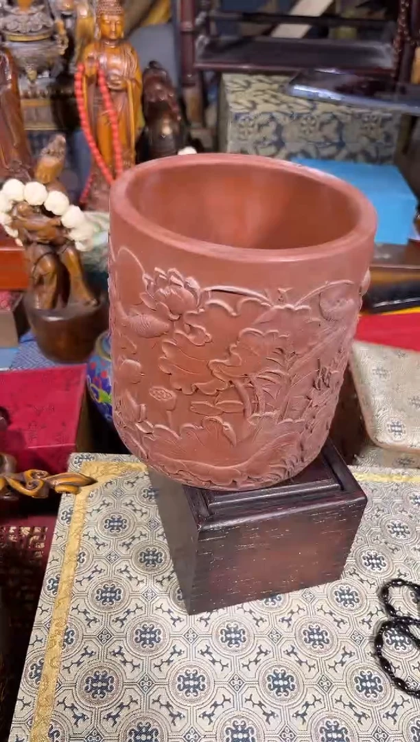 黄杨木11111111111111111111