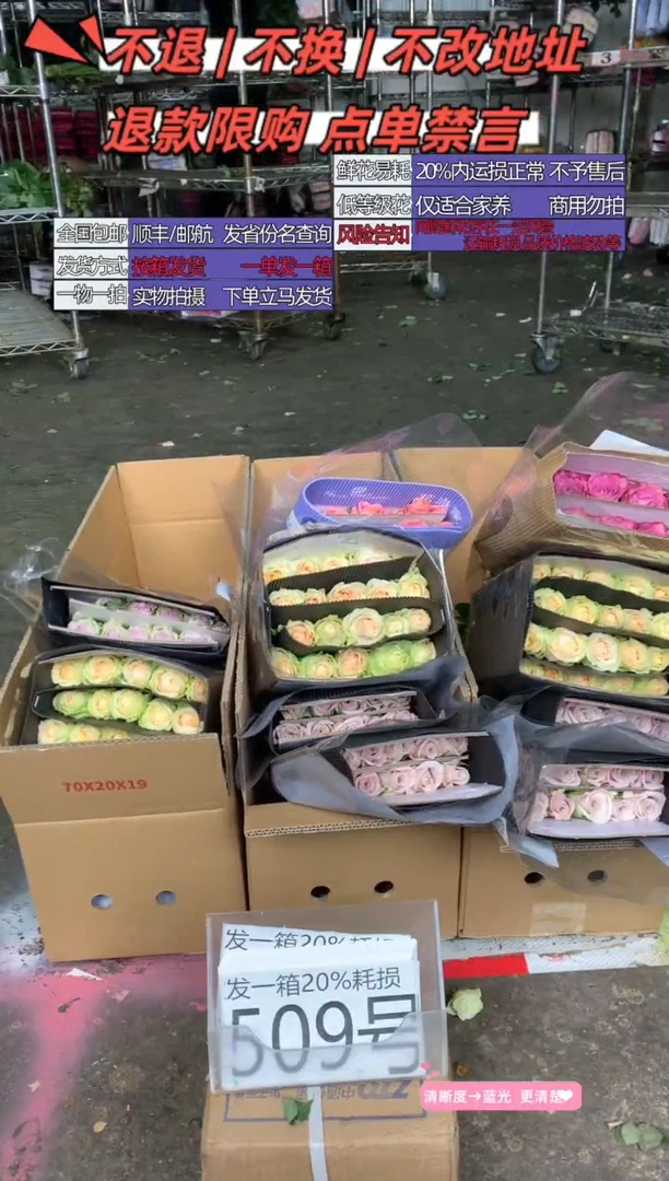 509号♥含20%耗损发一箱