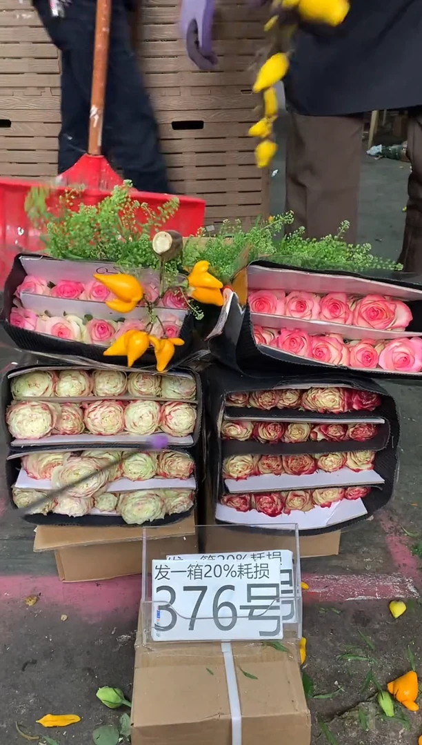376号♥含20%耗损发一箱