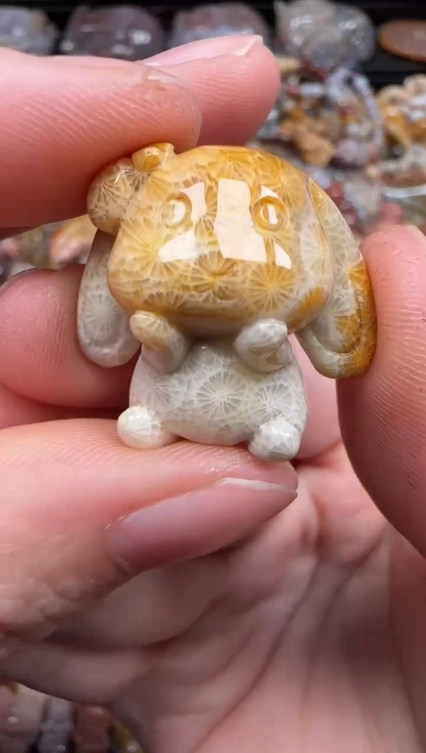 硅化珊瑚（珊瑚玉）未镶嵌颈饰315