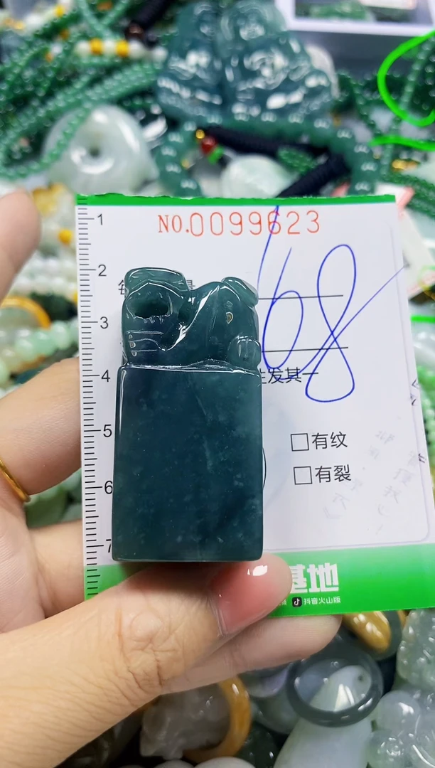 颈饰未镶嵌翡翠翡翠闪购Y0099623