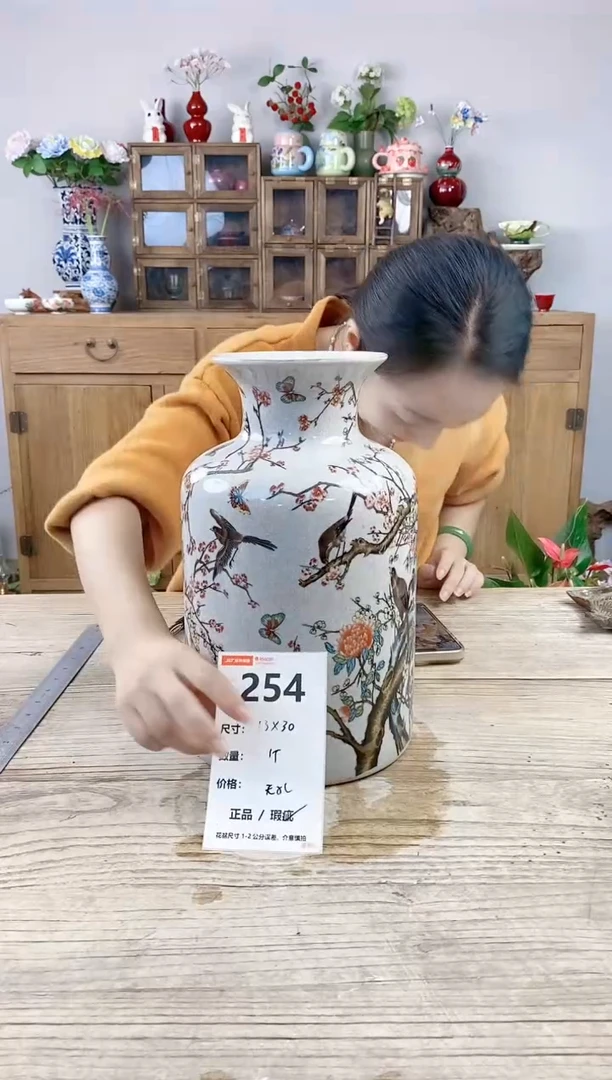 小玩子花盆直播号254