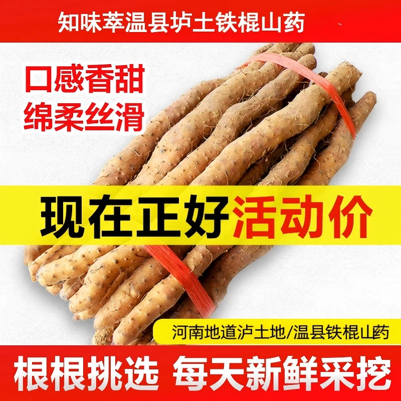 【现挖现发】买两斤送1斤到手3斤温县铁棍山药 粉面甘香 37cm左右