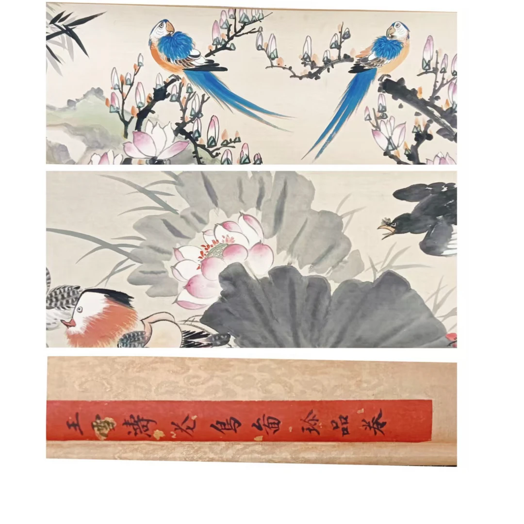 王 花鸟小长卷350*35约11平尺