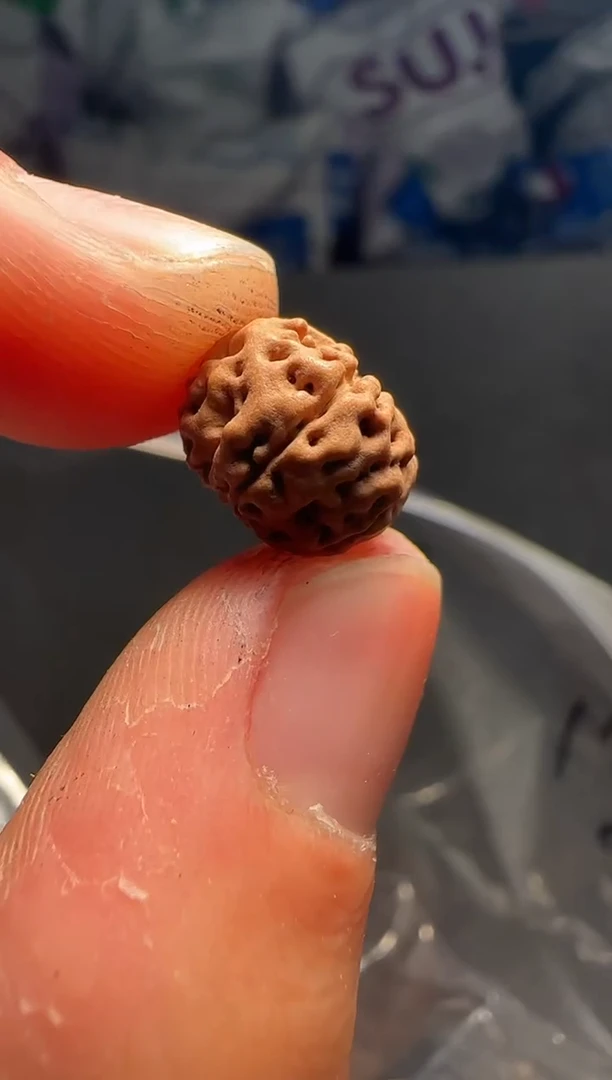 手串金刚菩提非全品老树王散籽11-12mm一份一百颗