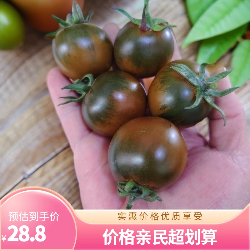 [顺丰包邮]福建黑春桃碱地新鲜紫春桃巧克力小西红柿番茄水果铁皮
