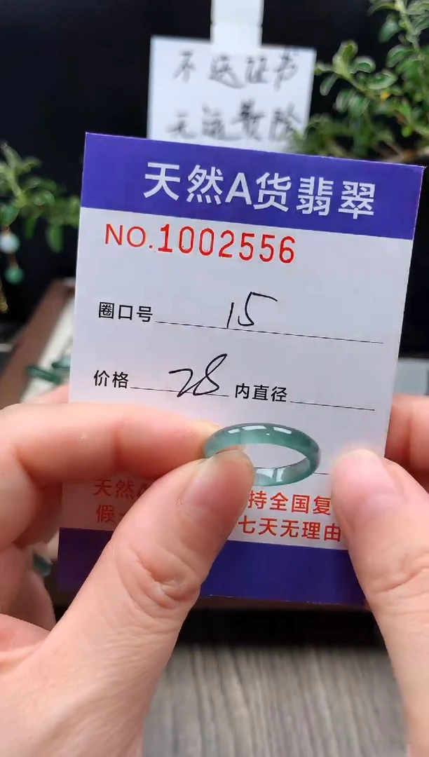 未镶嵌戒指翡翠15#