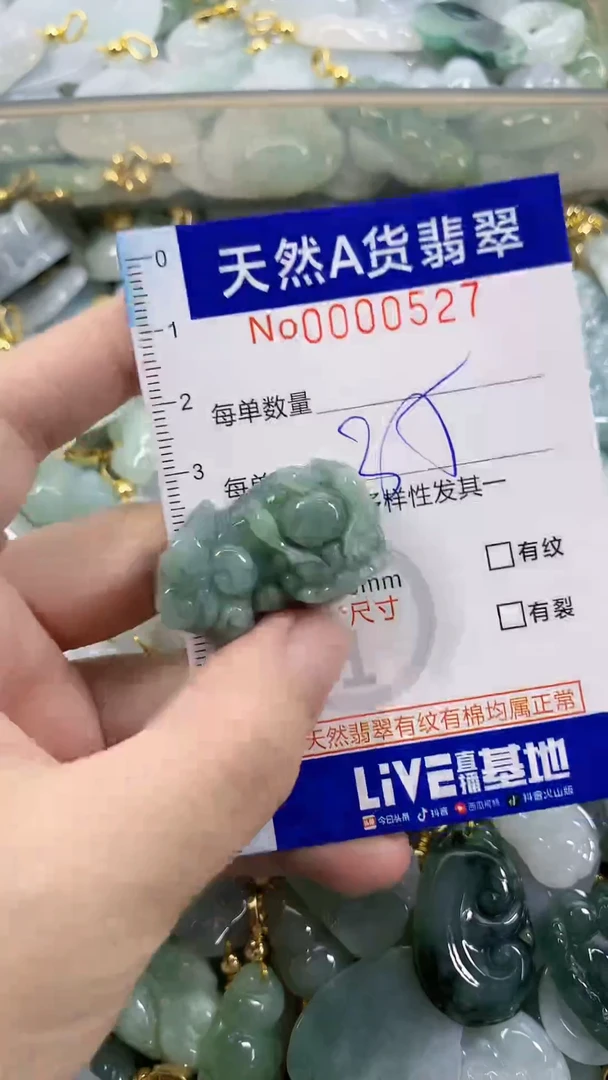 颈饰未镶嵌翡翠天然A货翡翠