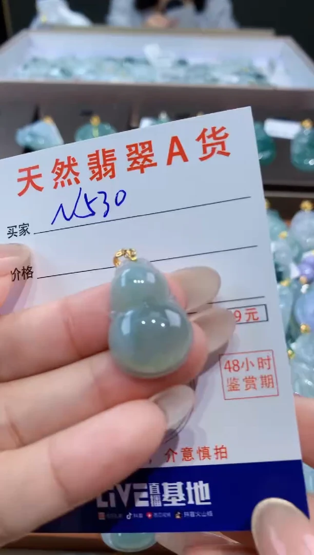 颈饰未镶嵌翡翠天然缅甸翡翠A货挂件
